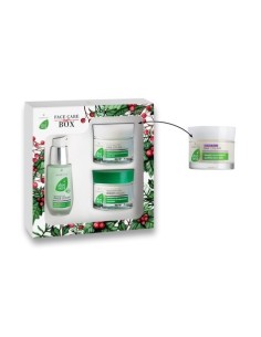 Set Facial Aloe Vera II